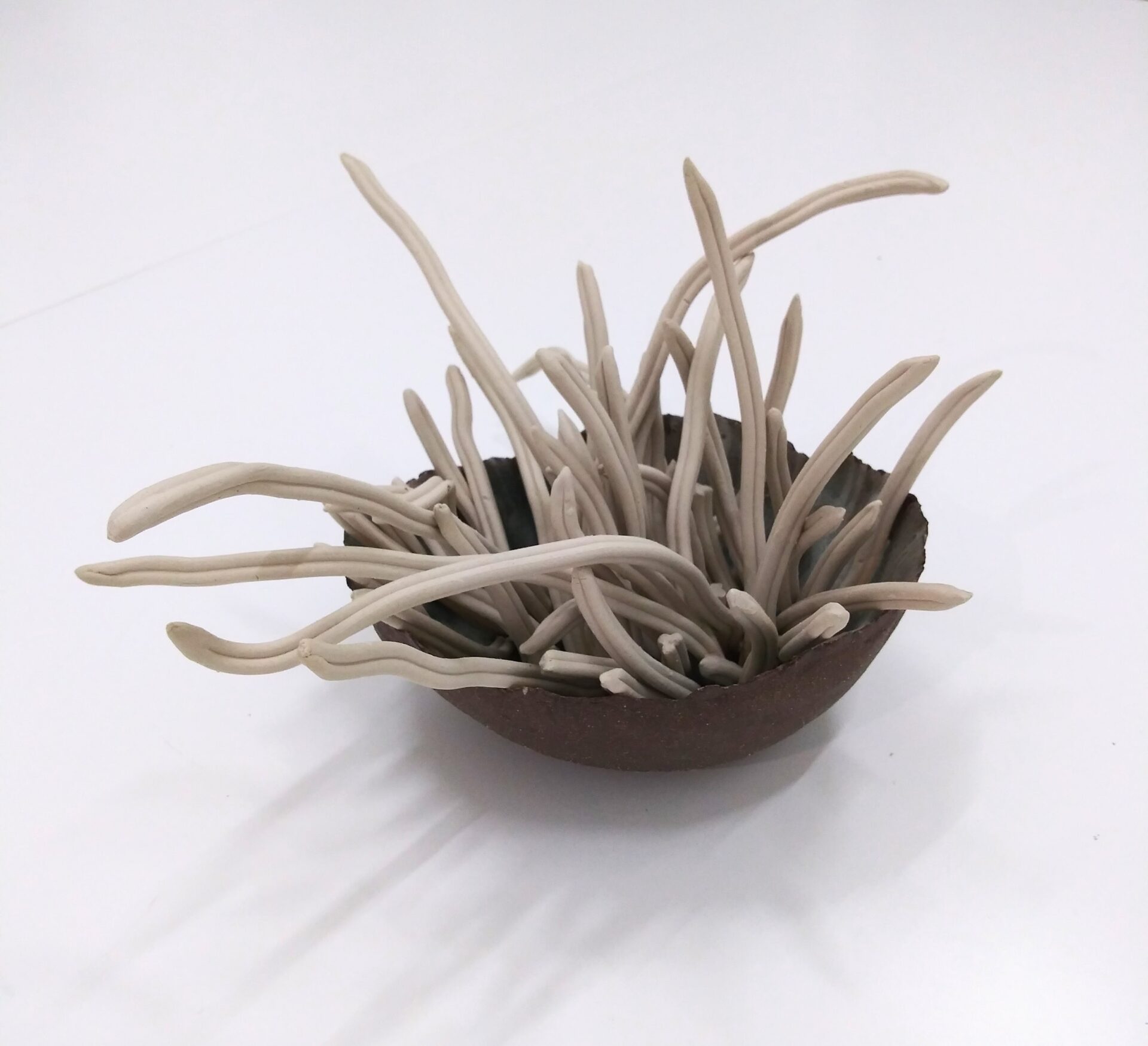 Ceramic art sculpture of organic shapes in the form of a plant growing from a round bowl