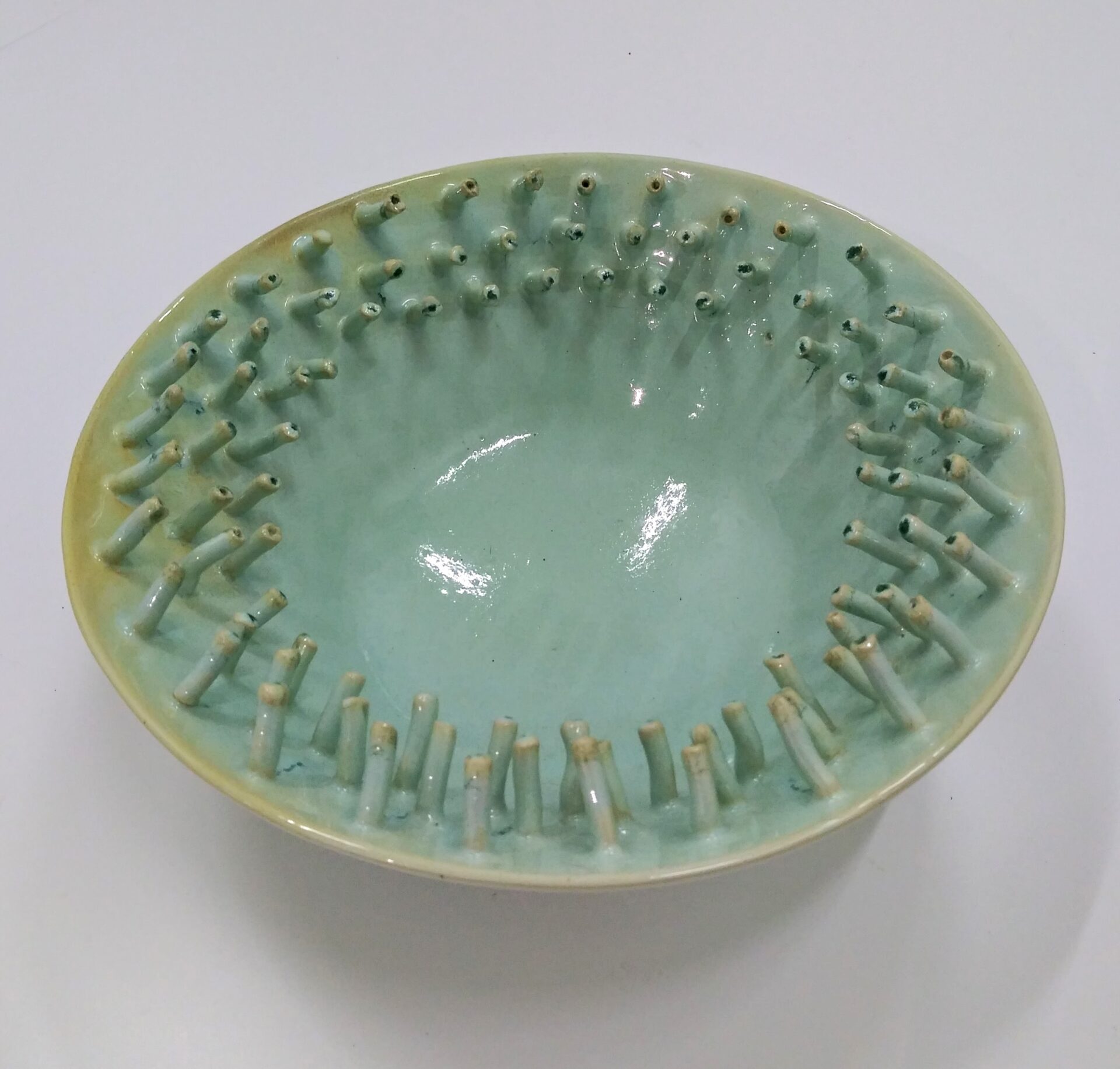 Aqua green round ceramic bowl full of thorns inside