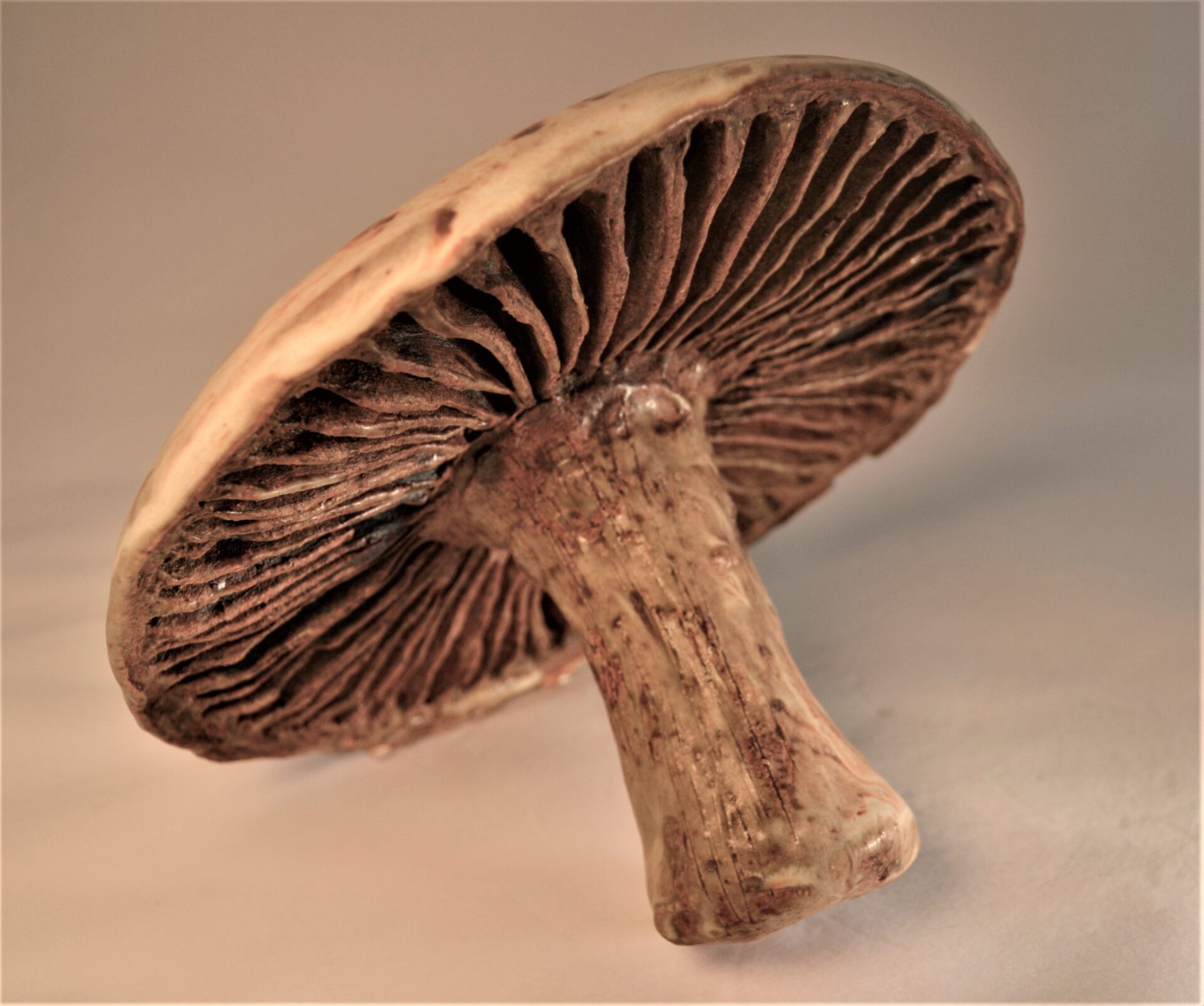 Ceramic art sculpture in the shape of a mushroom, color brown and beige