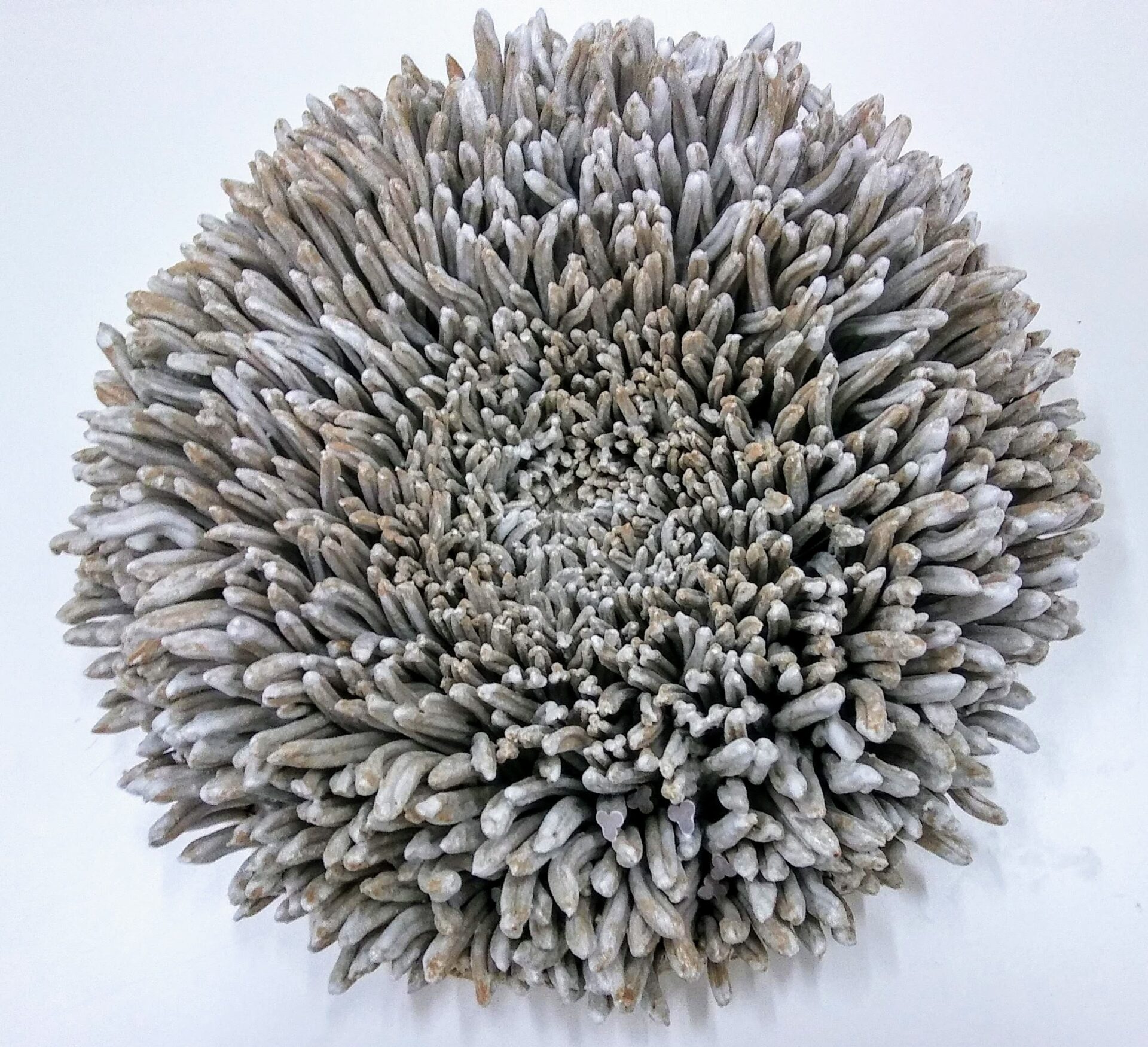 Ceramic art sculpture in the shape of an organic plant or flower